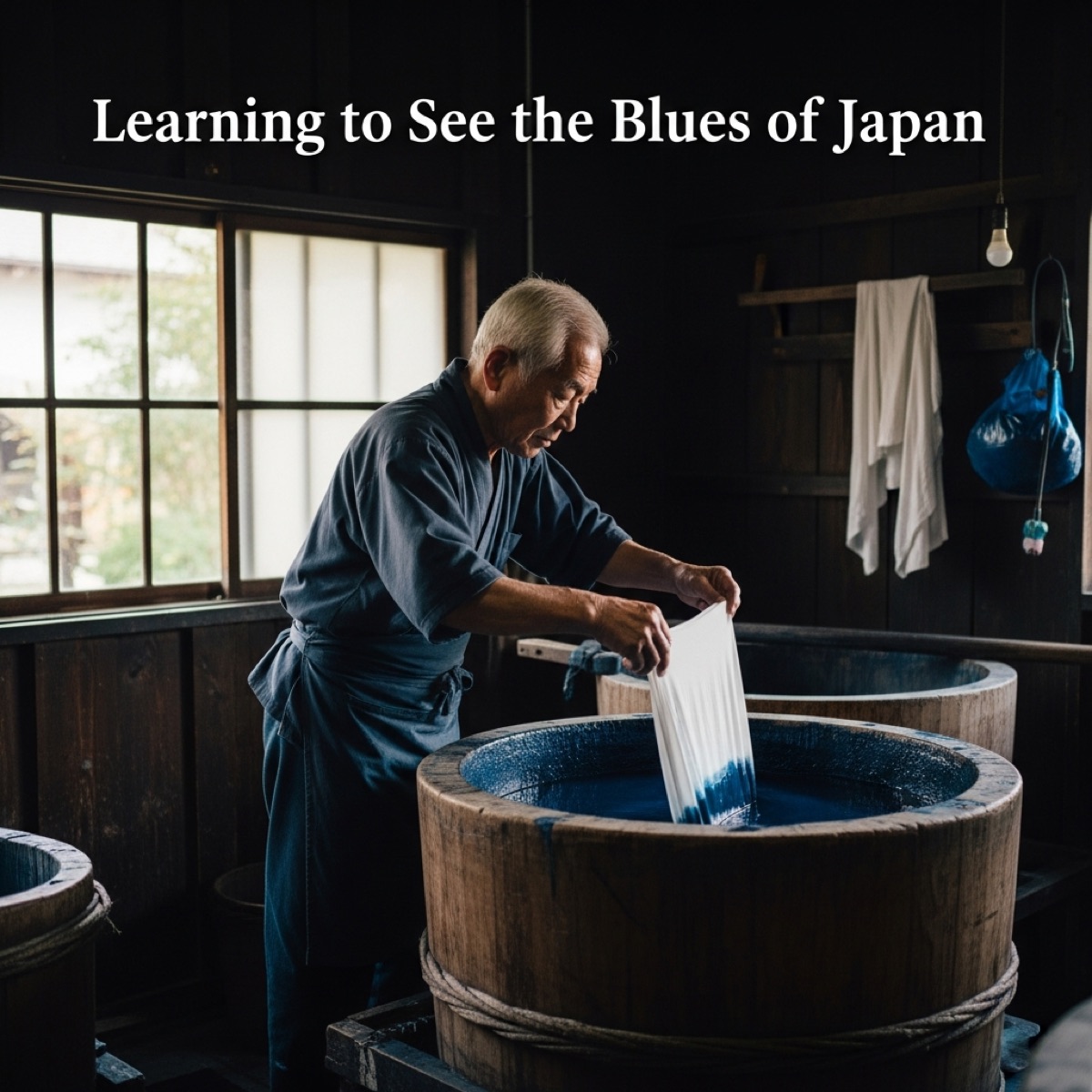 Learning to See the Blues of Japan